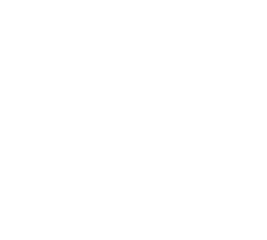 22 NEWS